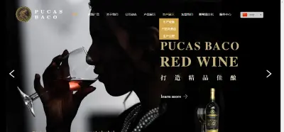 廣東(dōng)省光(guāng)束進口貿易有(yǒu)限公司